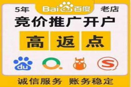 SEM运营策略案例分析